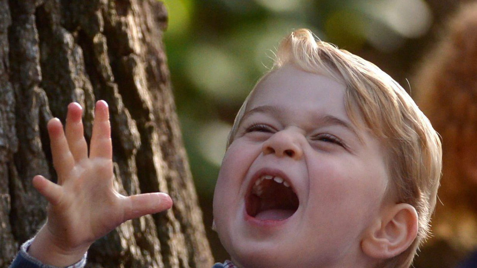 Le prince George
