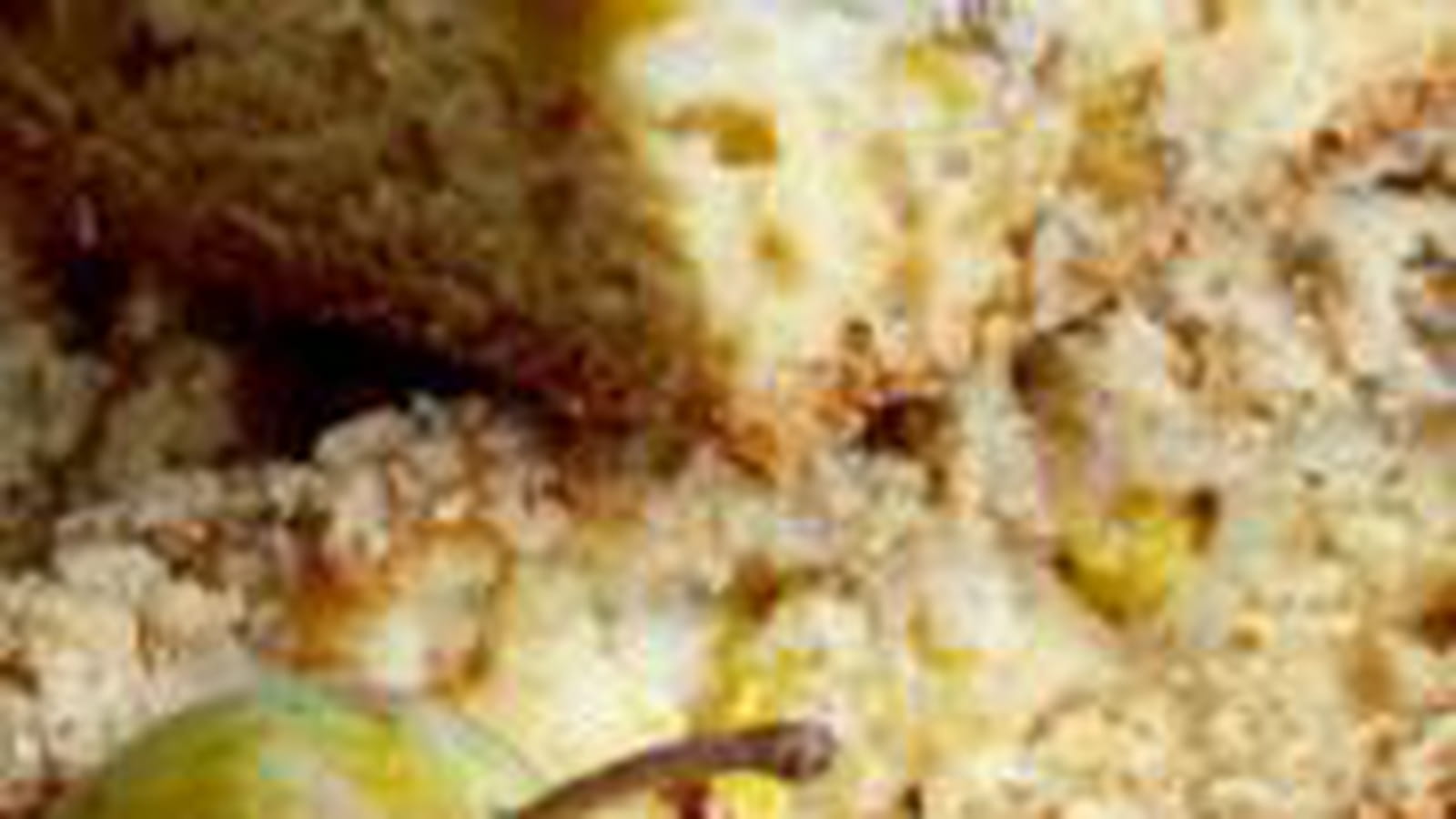 Cake reines claudes