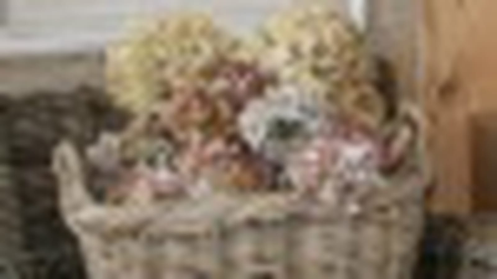Teintes et bois naturels