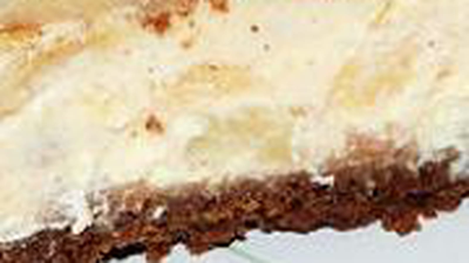 Cheesecake ananas-cannelle