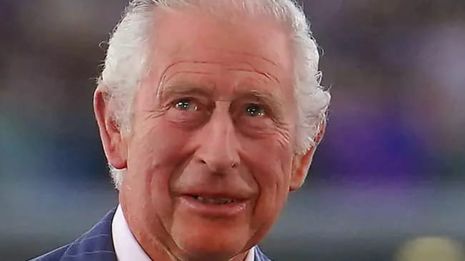 Roi Charles