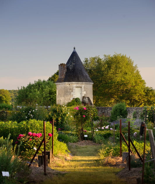 Fleurs et arbres fruitiers c&ocirc;t&eacute; potager