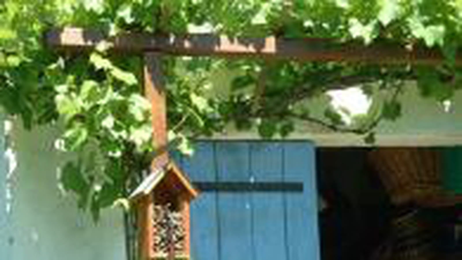 Hotel à insectes