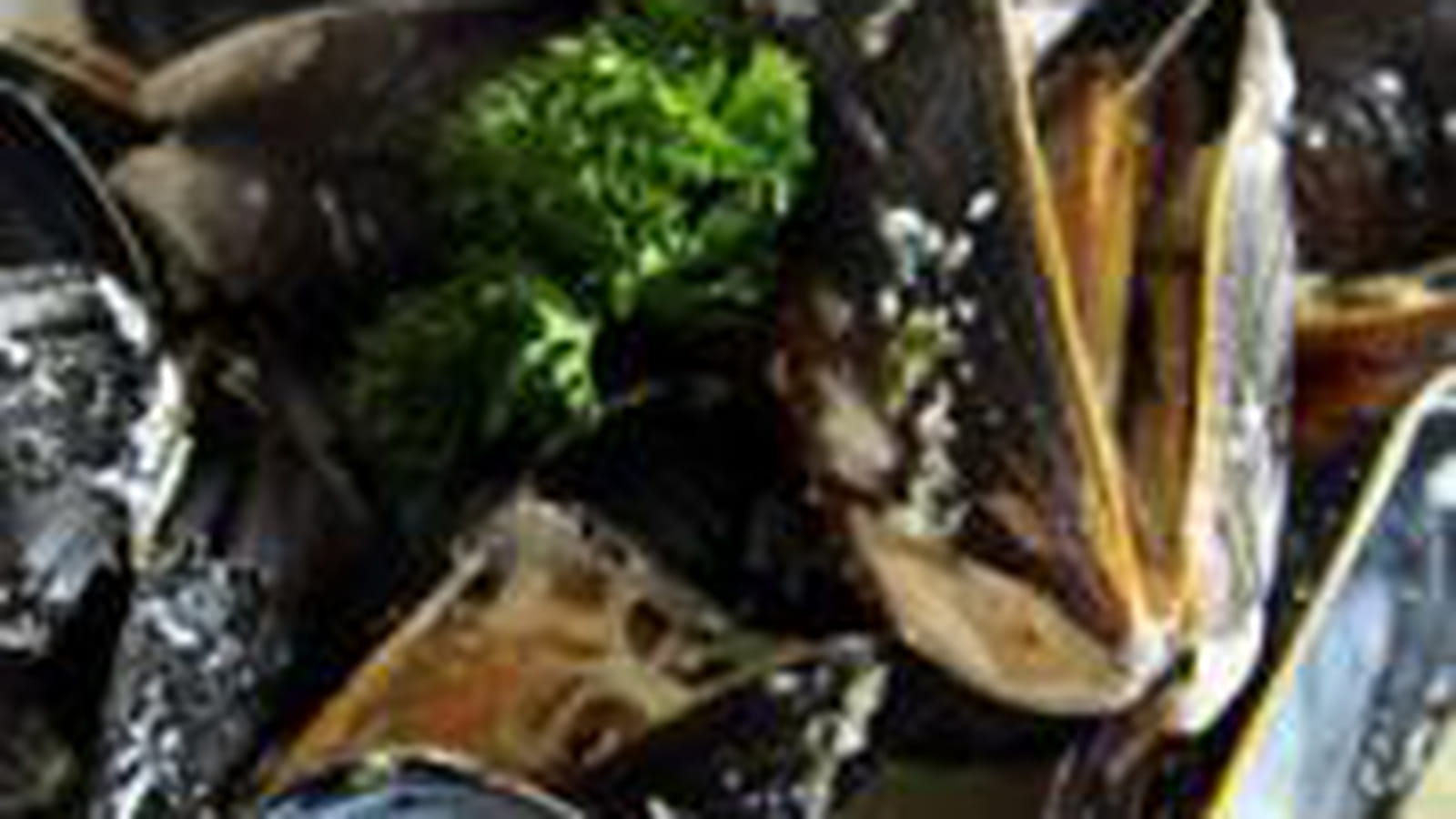 Moules marinières à la crème