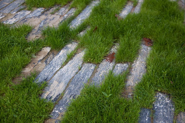 Quand la nature reprend ses droits