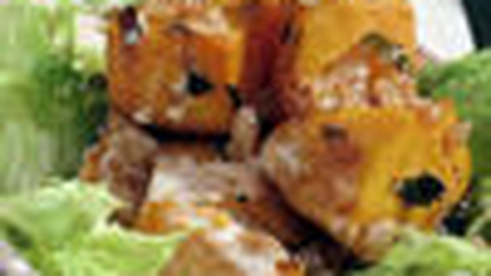 Salade