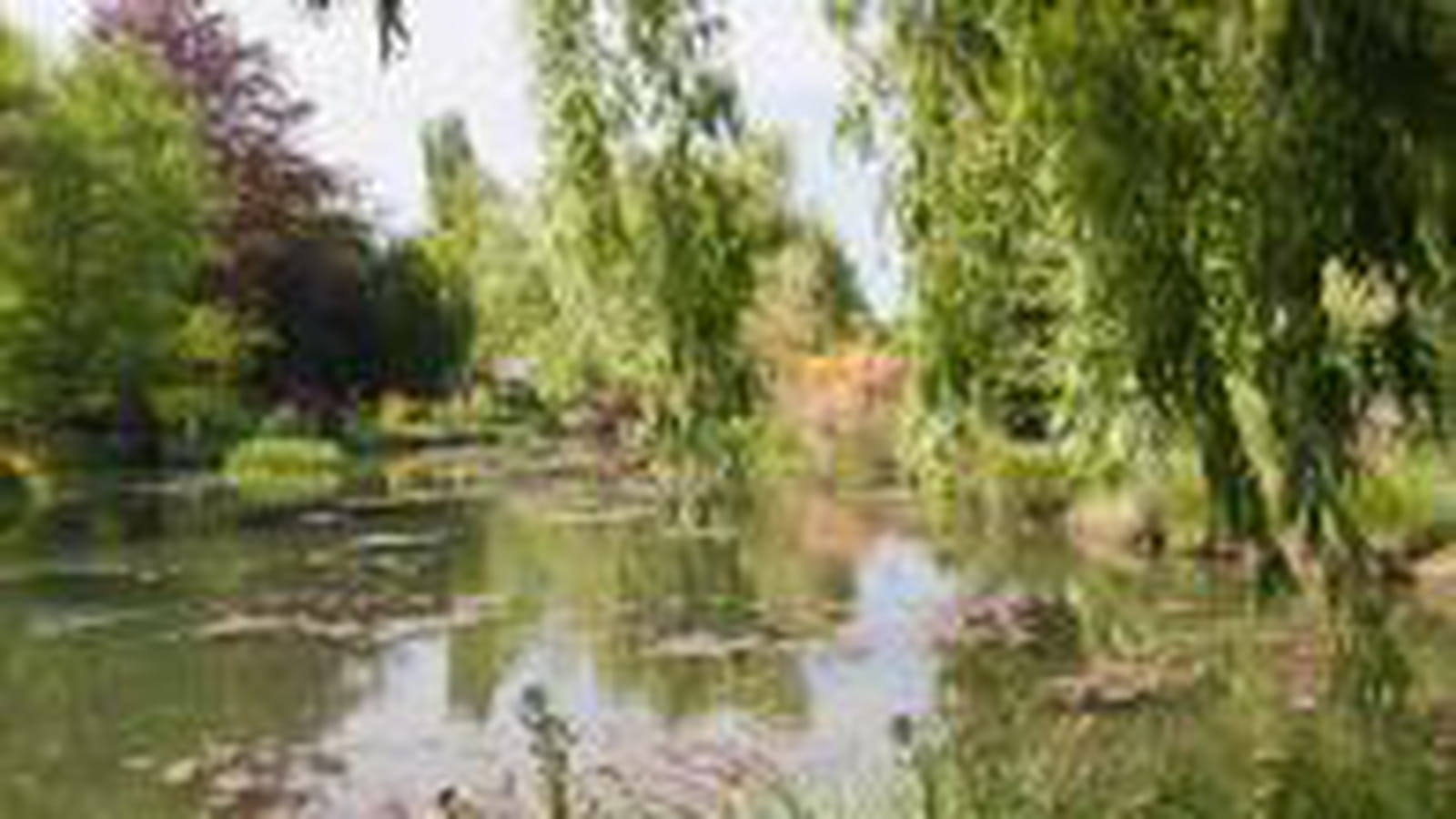 Bassin