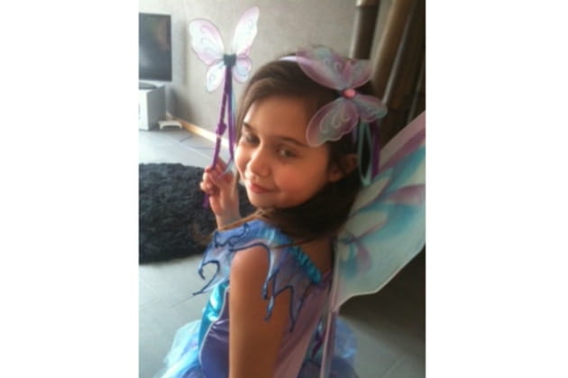 La fée des papillons