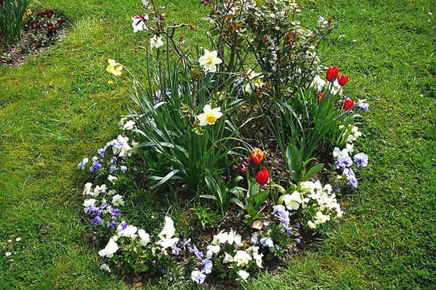 Des parterres un peu fantaisistes