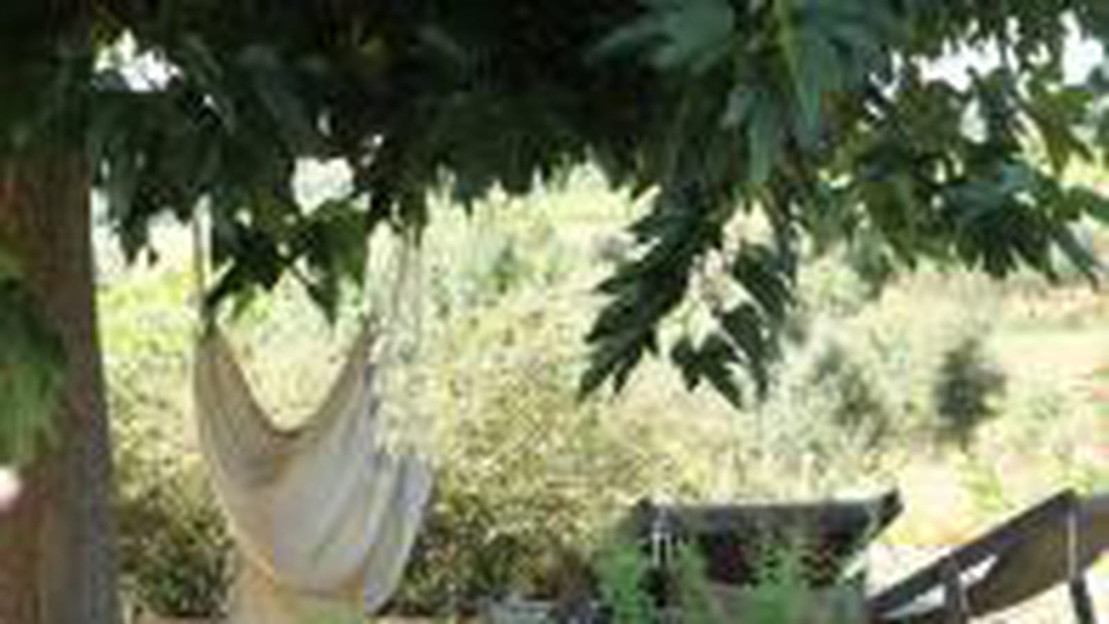 Jardin