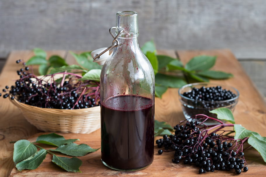 Sureau noir : bienfaits, infusion, utilisation