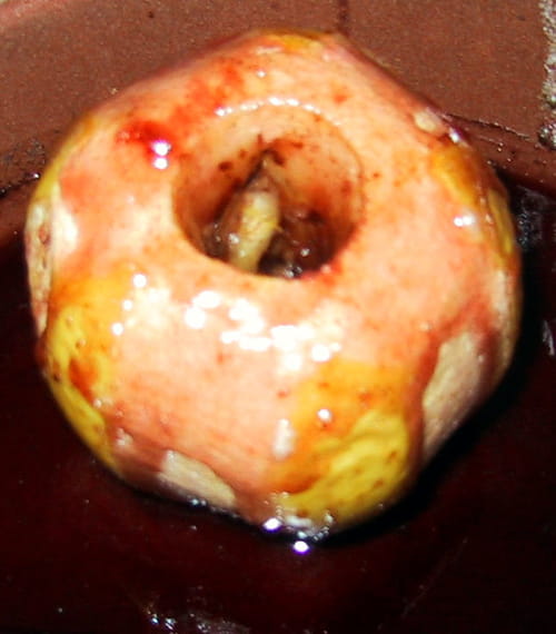 Pomme vigneronne