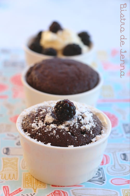 Minis moelleux au cacao