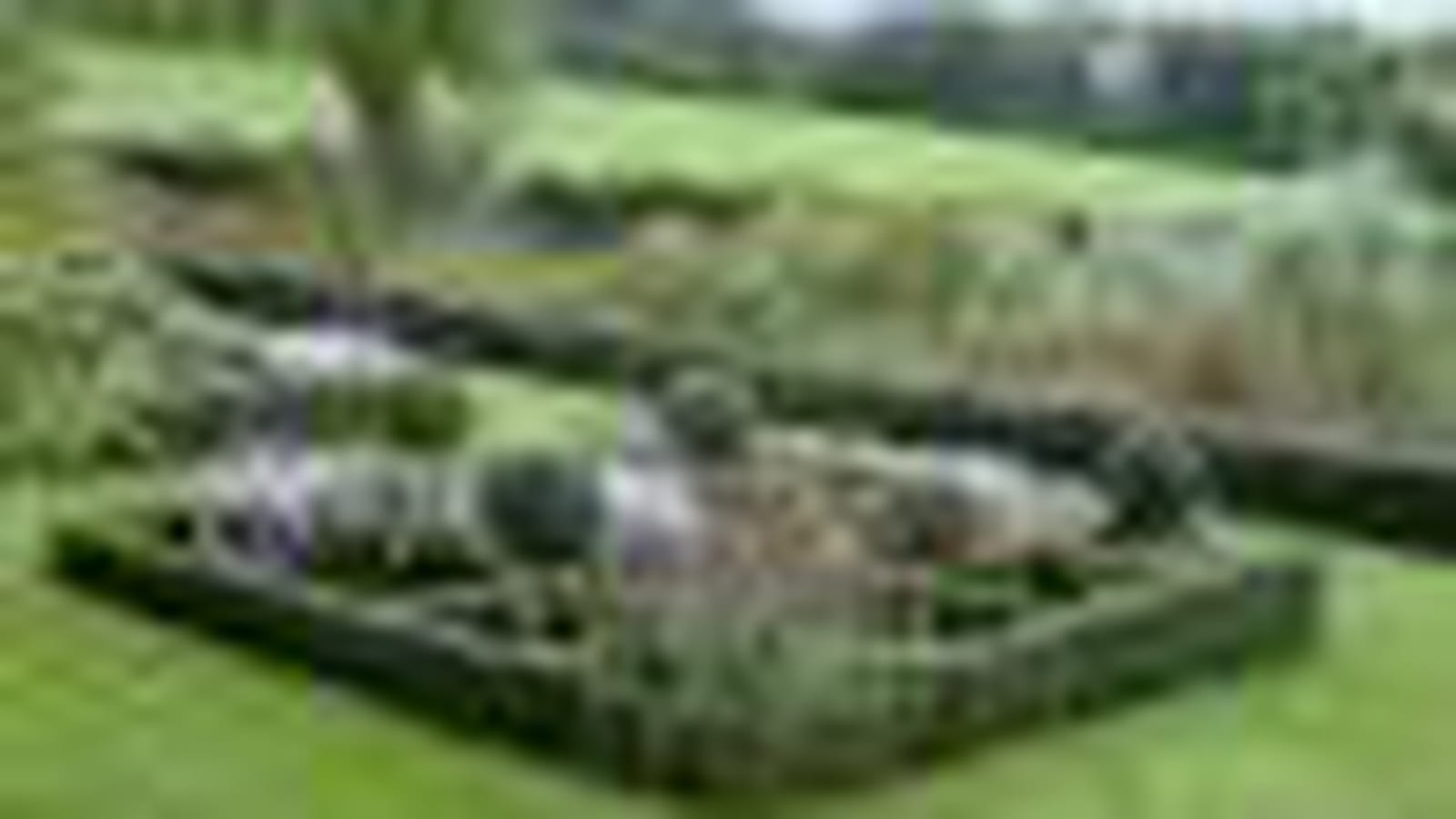 Jardin à la flamande