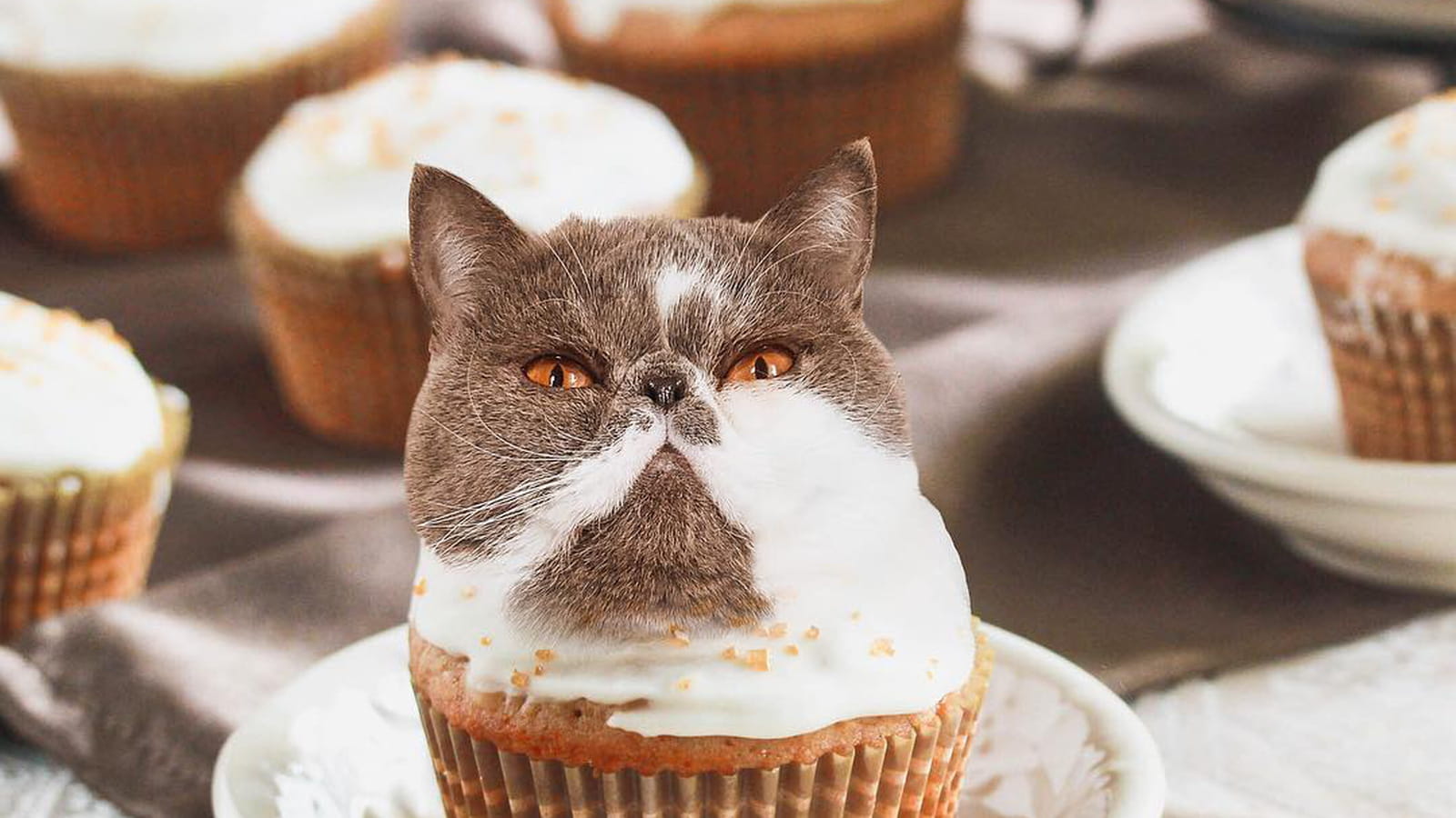 Irrésistibles cupcakes