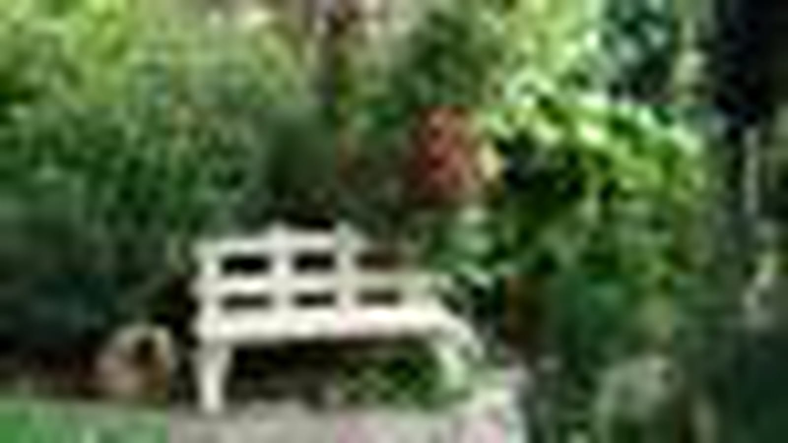 Une halte à l'ombre