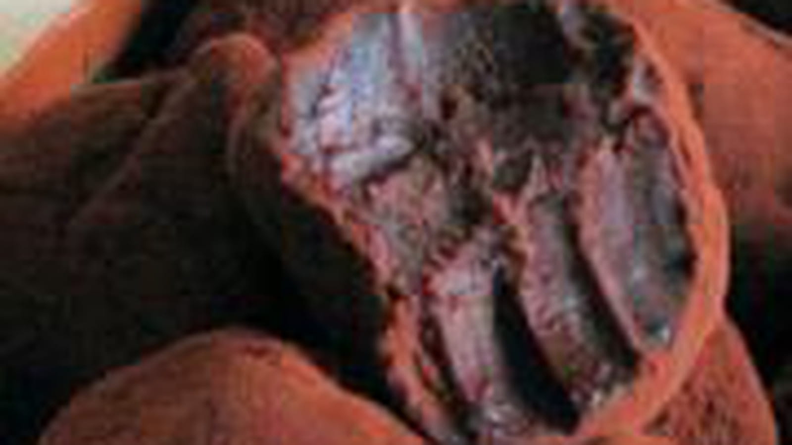 Truffes chocolat noir et caramel au beurre salé