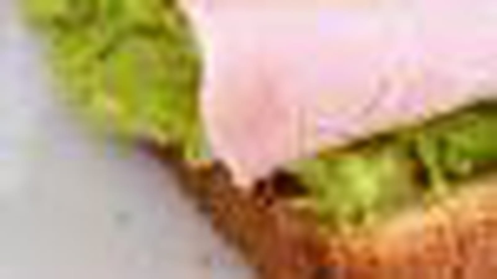 Sandwich