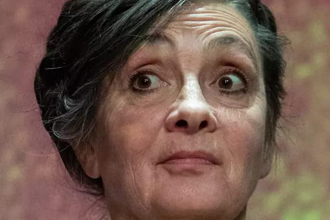 Catherine Ringer : pourquoi elle a mis un vent monumental à Macron