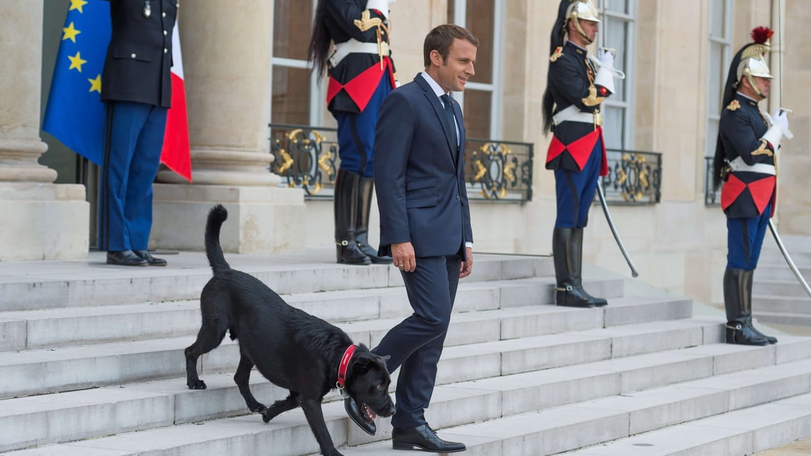 Nemo et Emmanuel Macron
