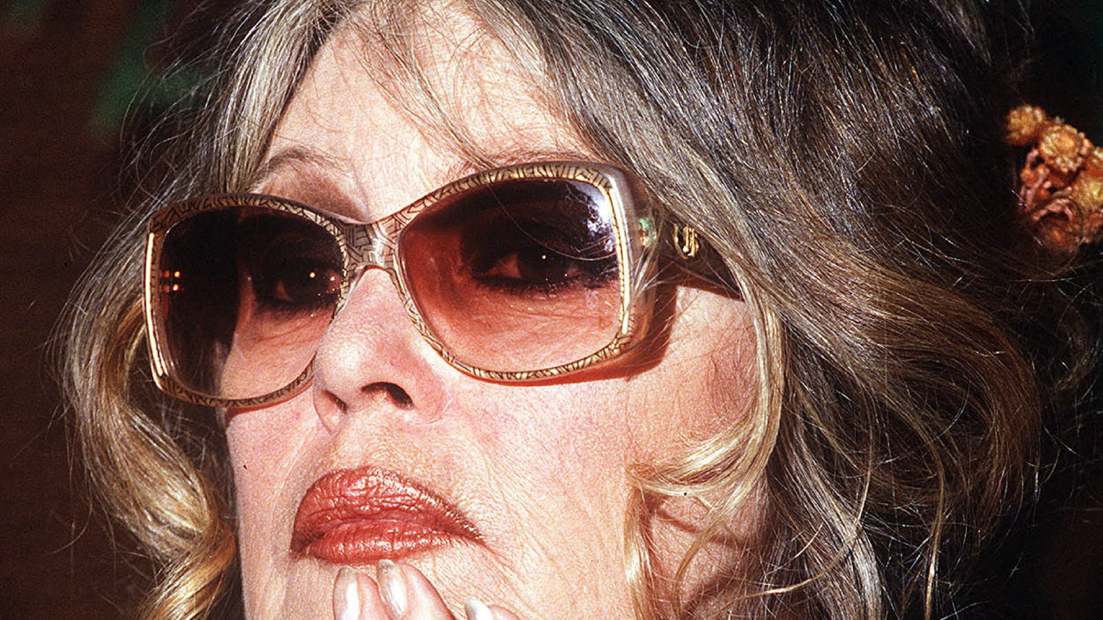Brigitte Bardot