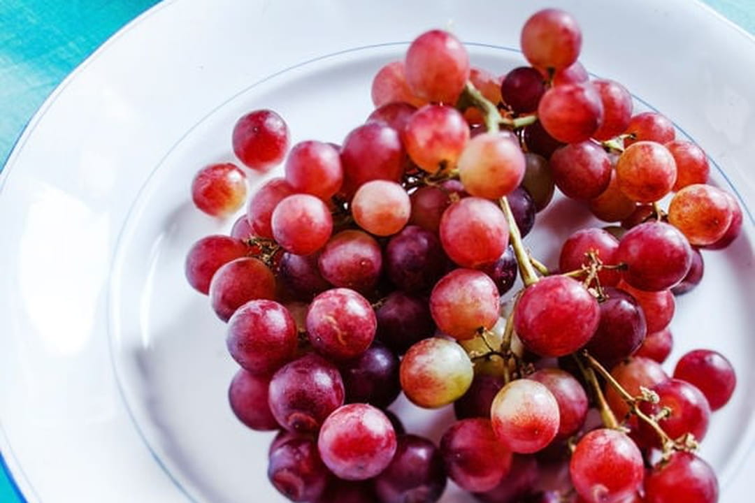 Espagne : le raisin du bonheur