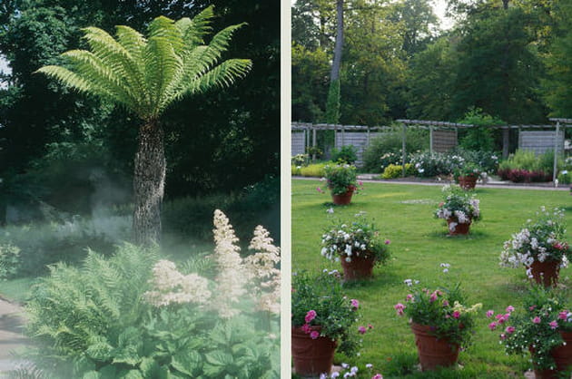 Jardins de foug&egrave;res, jardin de l'entr&eacute;e