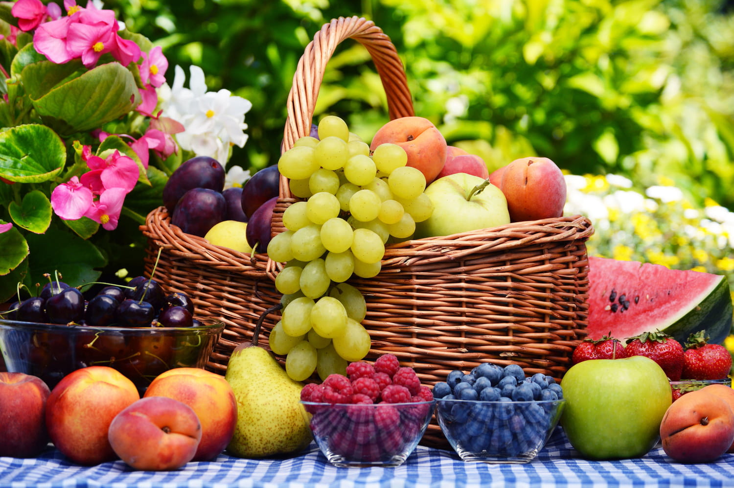 Fruits Liste Saison Conseils De Conservation Et Recettes Fruits Liste Saison Conseils De Conservation Et Recettes