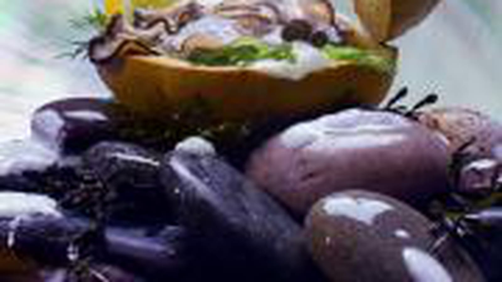 Un burger sans coquille