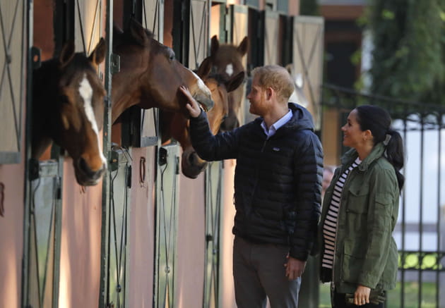 Prince Harry et Meghan Markle visitent la F&eacute;d&eacute;ration royale de sports &eacute;questres du Maroc