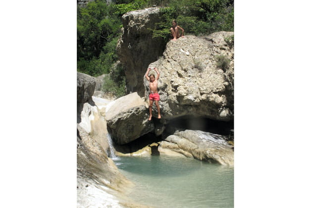 Le plongeon du poisson