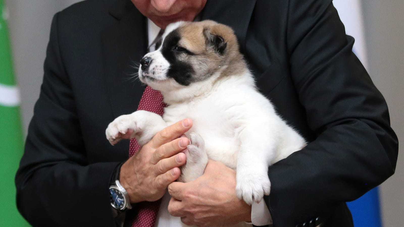 Vladimir Poutine
