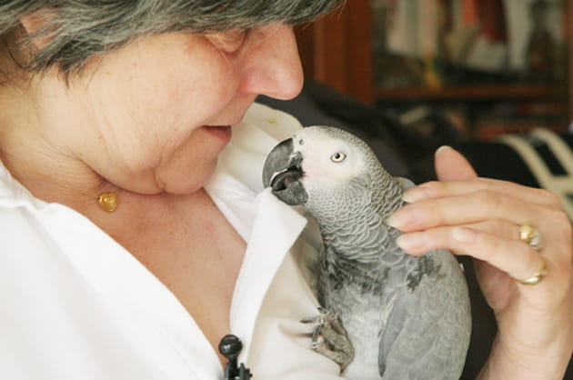 La complicit&eacute;