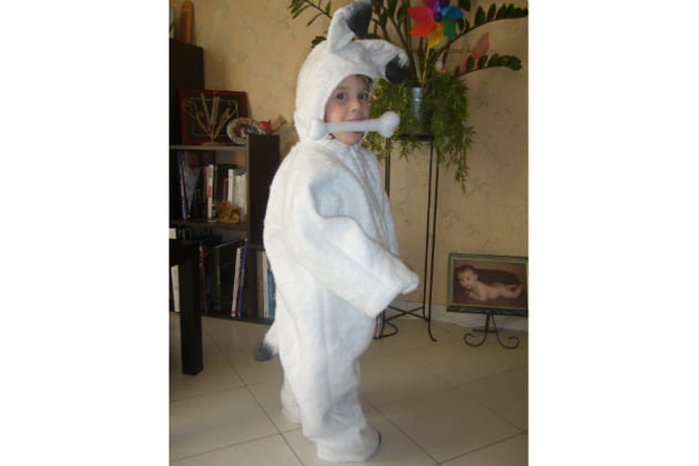 Mais où est Idefix ?