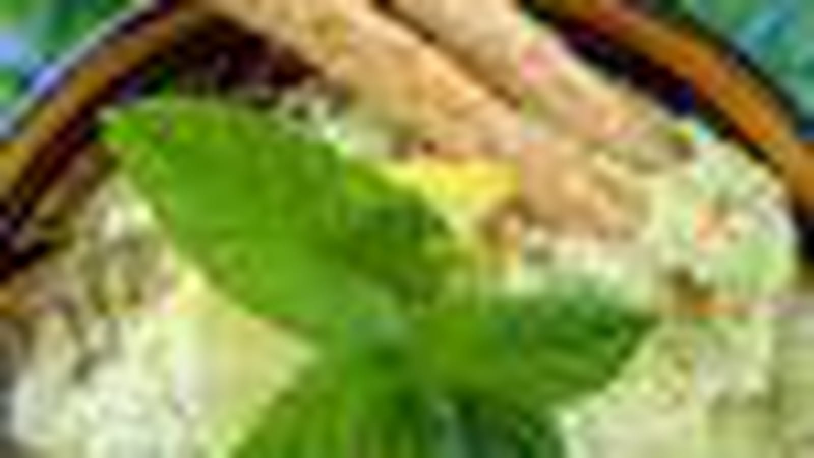 Houmous menthe et persil