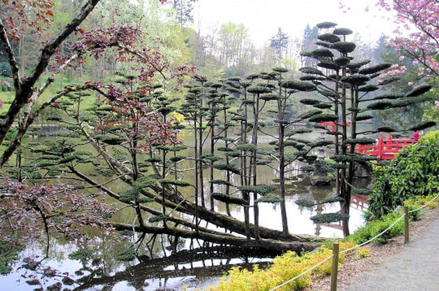 Tout en d&eacute;licatesse