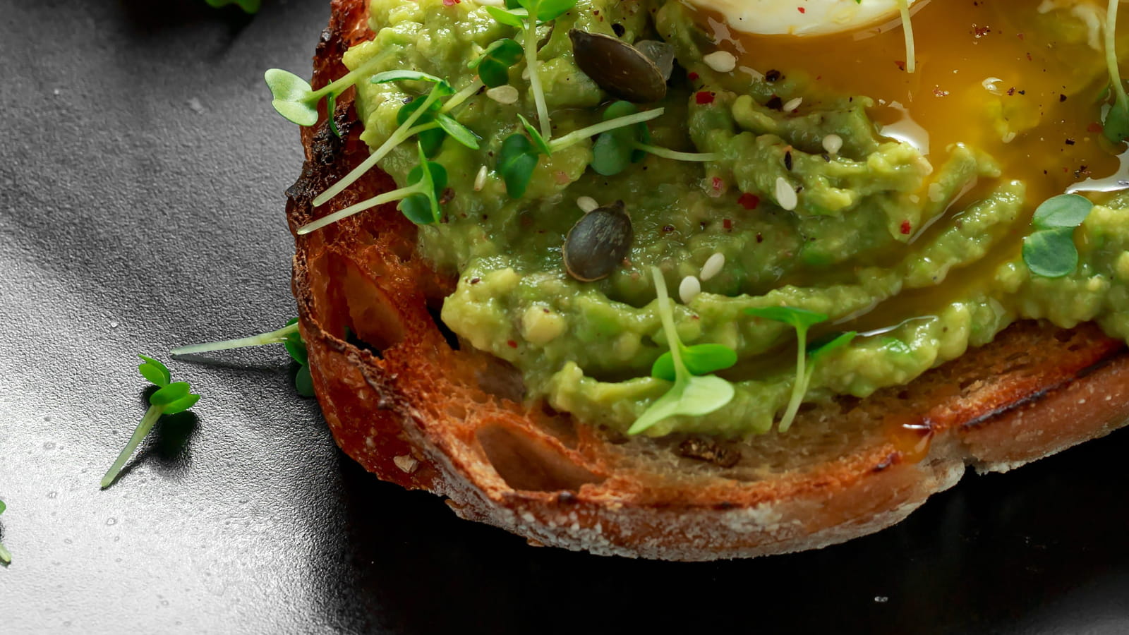 Avocado toast œuf