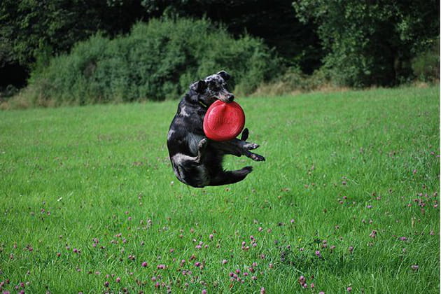 Une activité physique intense