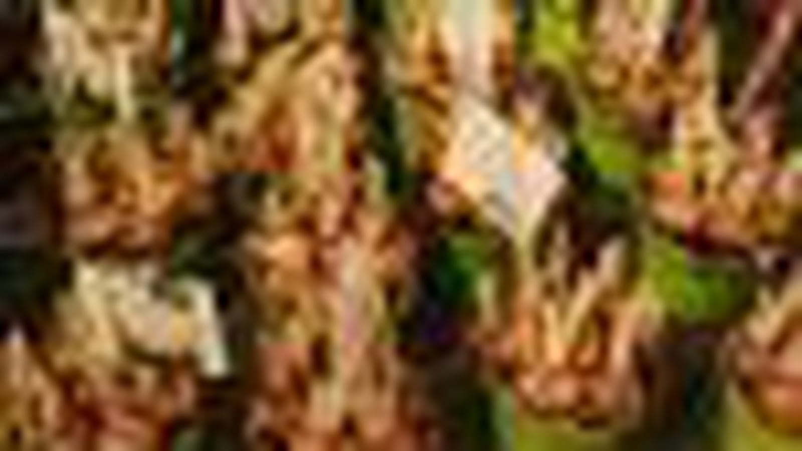 Crocus