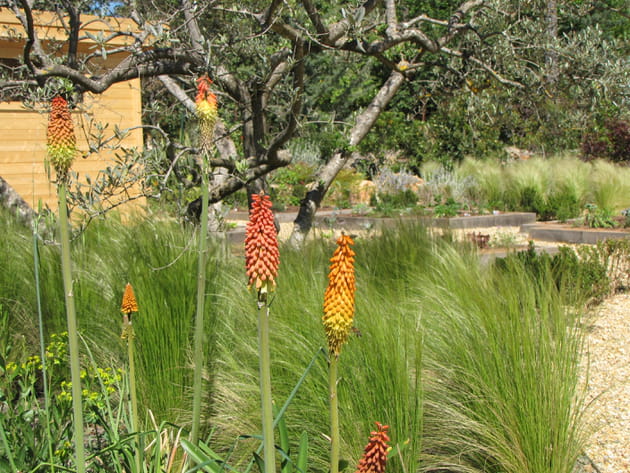 De belles floraisons