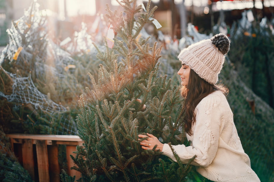 Allergie au sapin de Noël : toux, symptômes, quelle alternative ?