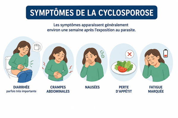 Schéma des symptômes de la cyclosporose