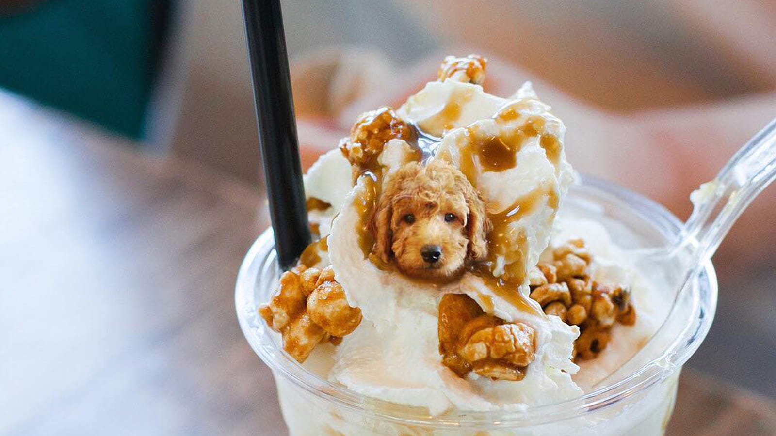 Frozen "dog" yogurt