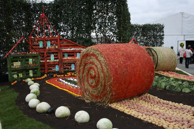 Jardin fruits et légumes