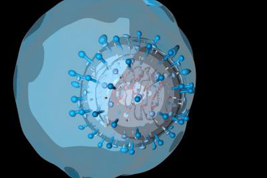 Découverte d'un nouveau virus semblable au Sras