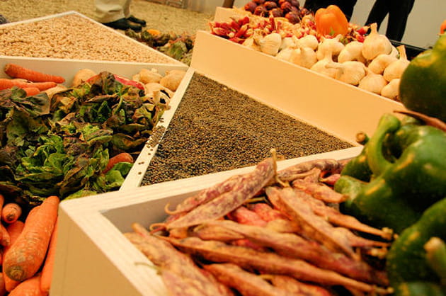 Bacs &agrave; l&eacute;gumes