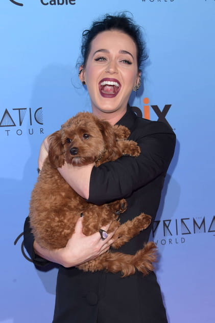 Katy Perry et Butters