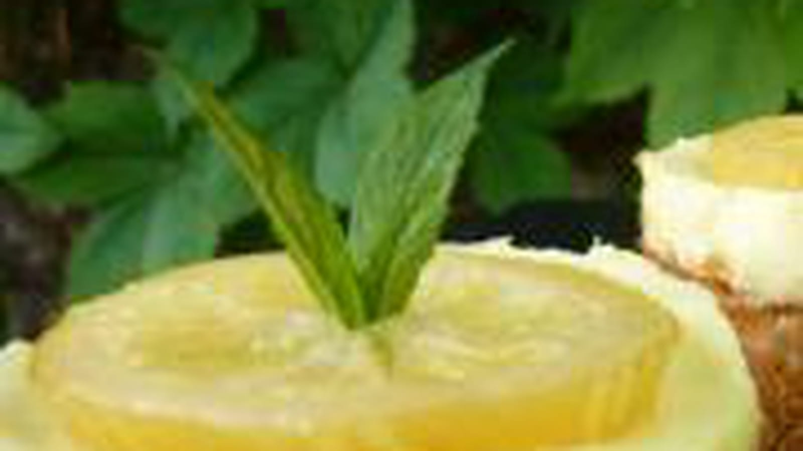 Sablés au citron