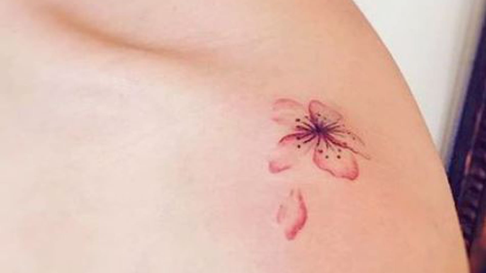 Fleur de cerisier unique sur l'épaule