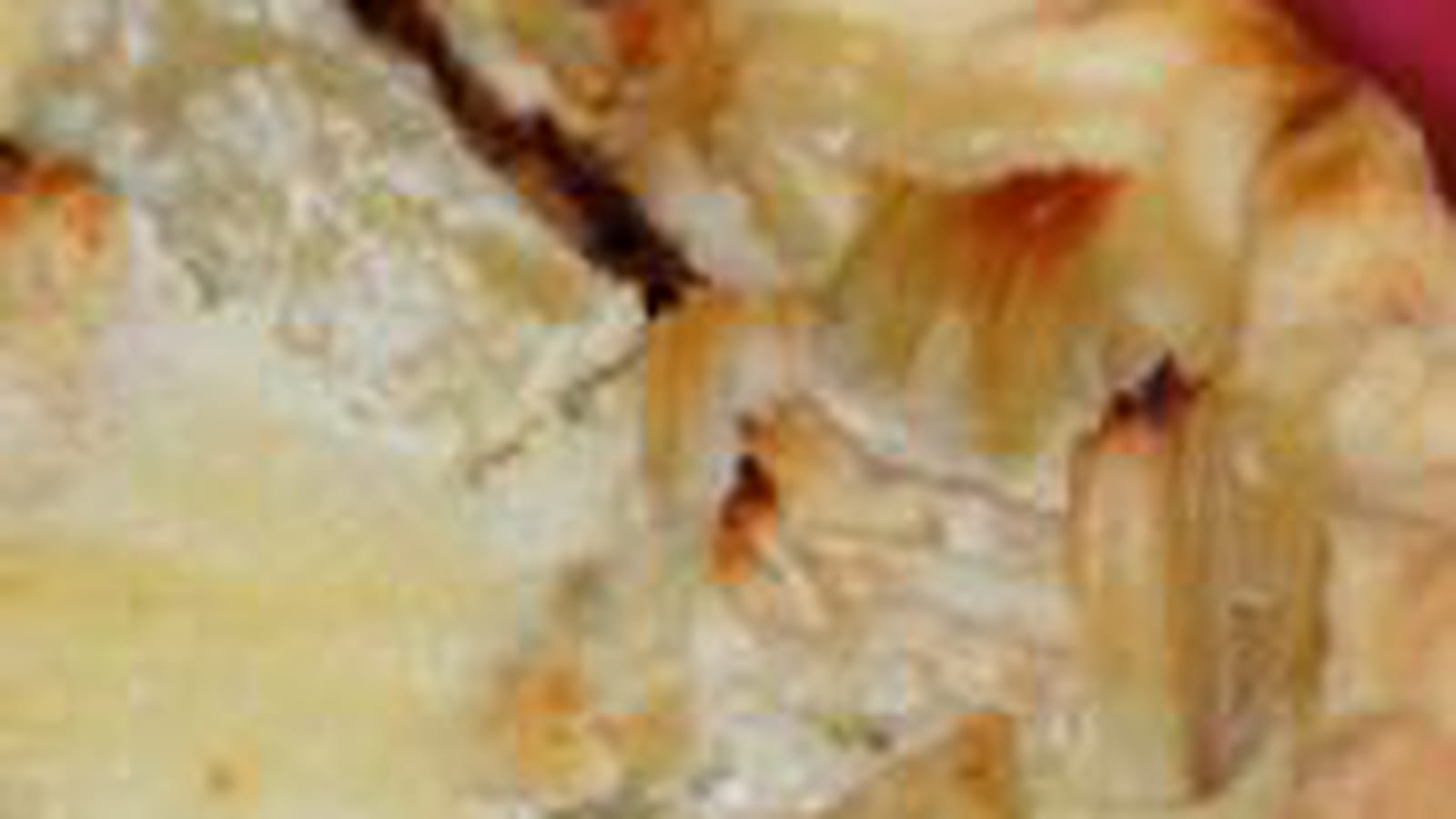 Tartelette rhubarbe et noix de coco